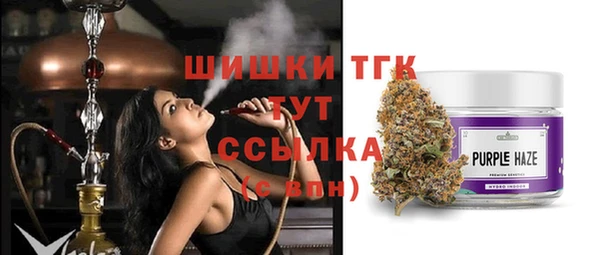 индика Балабаново