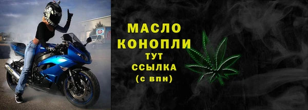 индика Балабаново
