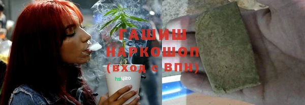 индика Балабаново