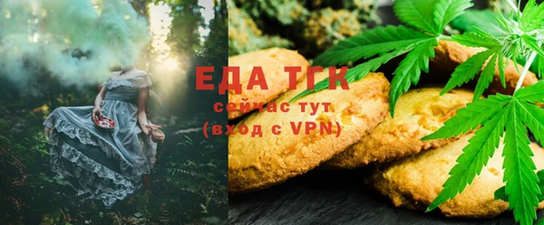 индика Балабаново
