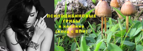 индика Балабаново