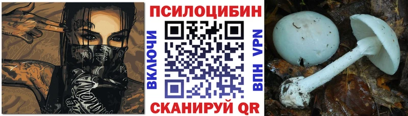 Галлюциногенные грибы Psilocybe  дарнет шоп  Горно-Алтайск 